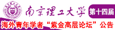 鸡把插进逼逼里在线视频南京理工大学第十四届海外青年学者紫金论坛诚邀海内外英才！